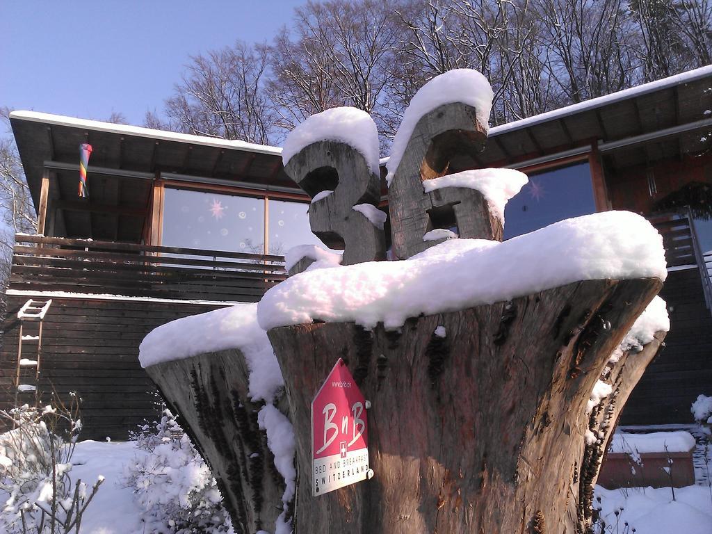 B&B Sunnesite Pratteln Exterior photo
