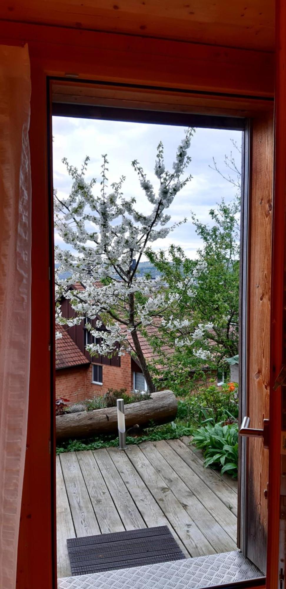 B&B Sunnesite Pratteln Exterior photo