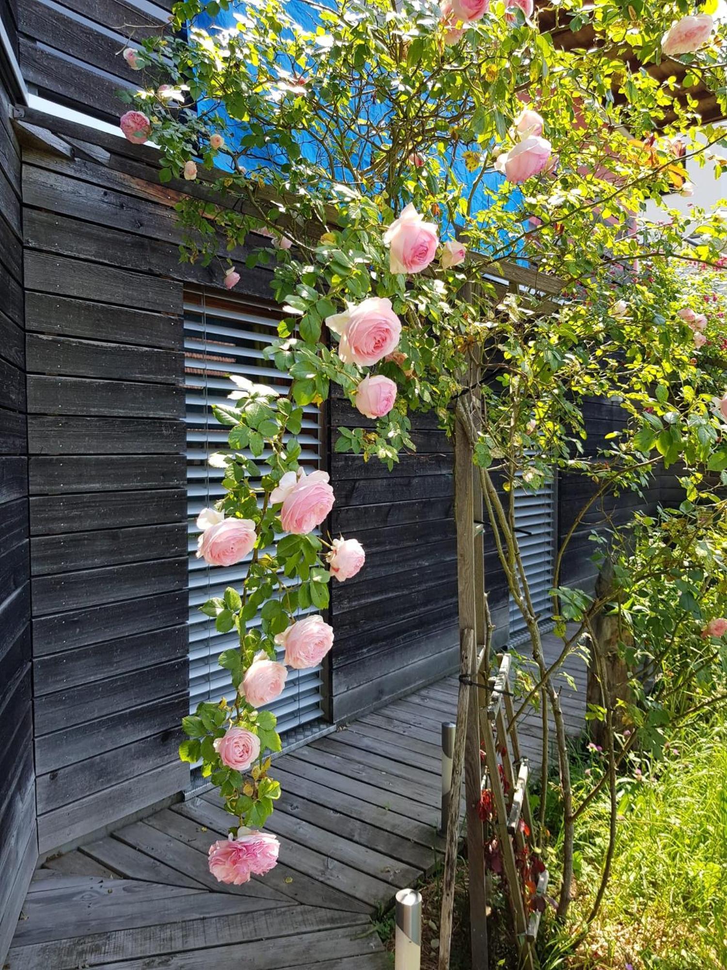 B&B Sunnesite Pratteln Exterior photo